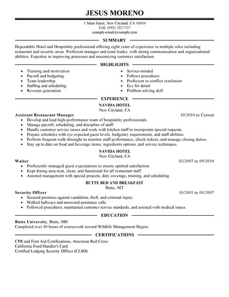 associate auditor cover letter
