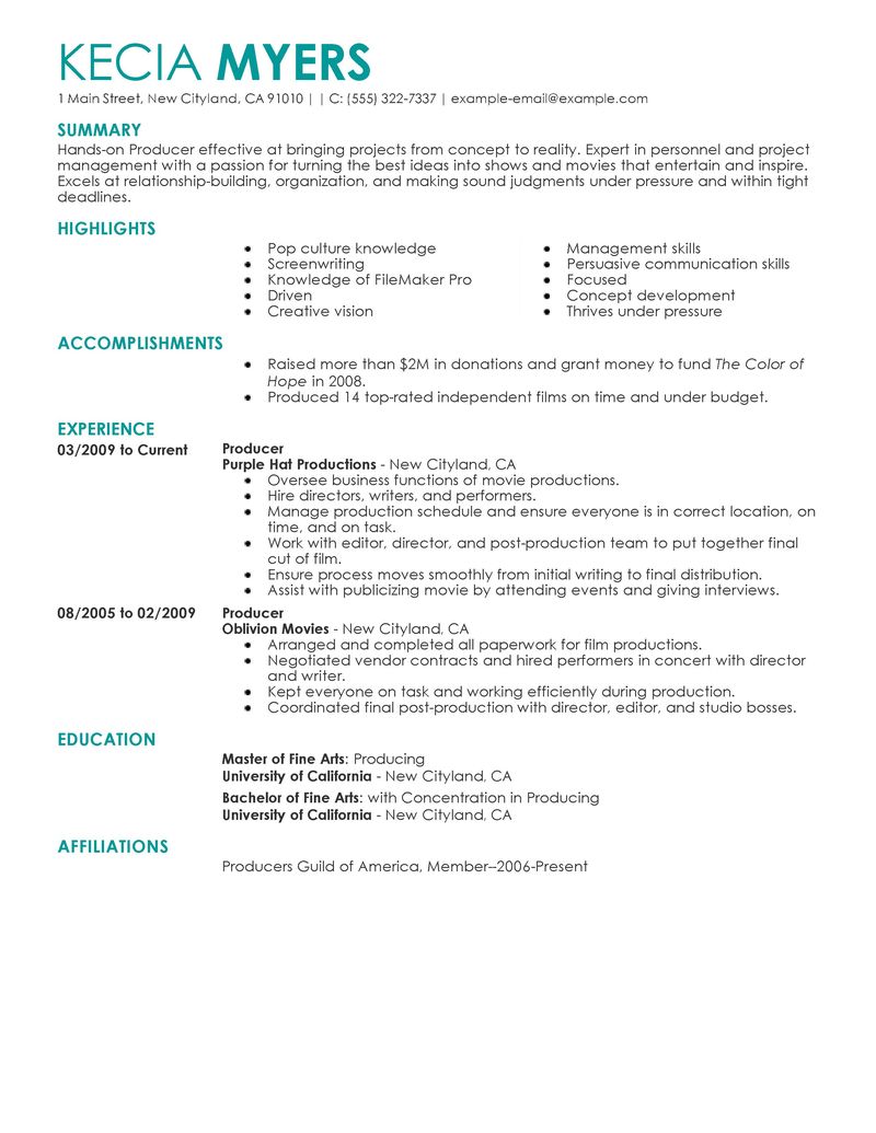 Example government resume