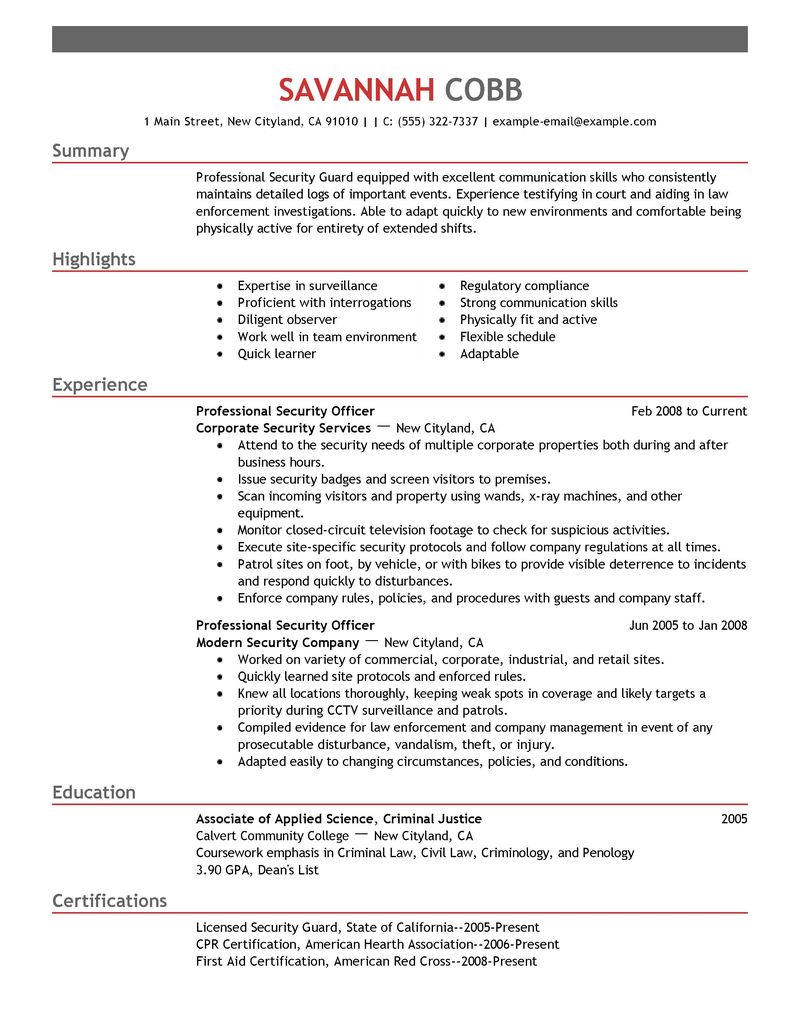 Big Professional Security Officer Example Emphasis 1 Design