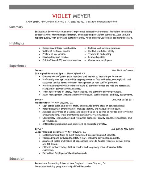 prices resume during 2010 in 03 resume professional resume expertise