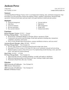 sample senior project manager resume
