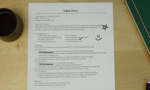 Labor Delivery Resume Samples Velvet Jobs