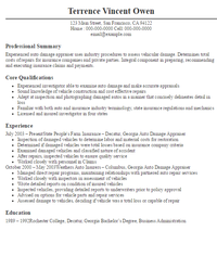 Auto insurance sales agent resume