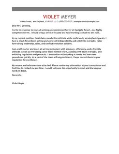 sample professional cover letter