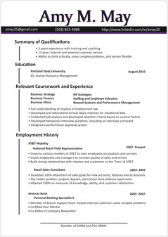 cv resume template