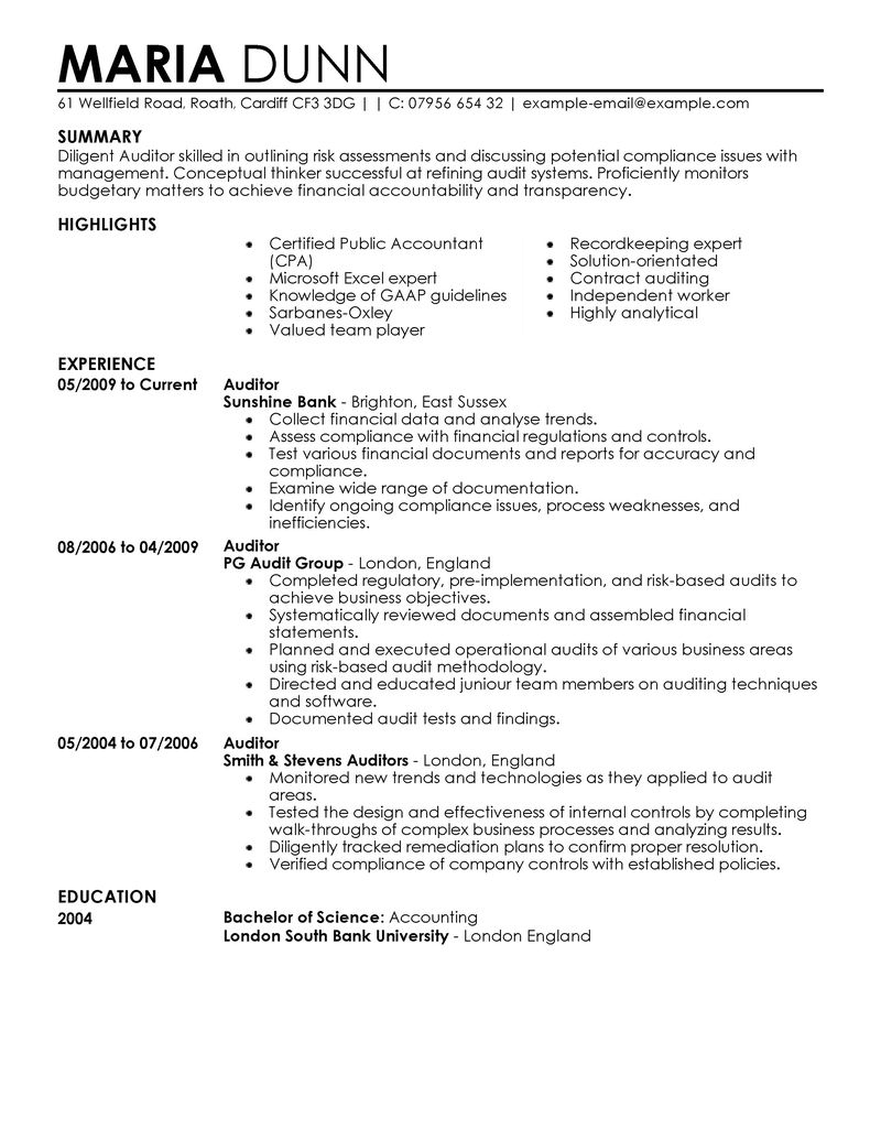 Resume cv it auditor