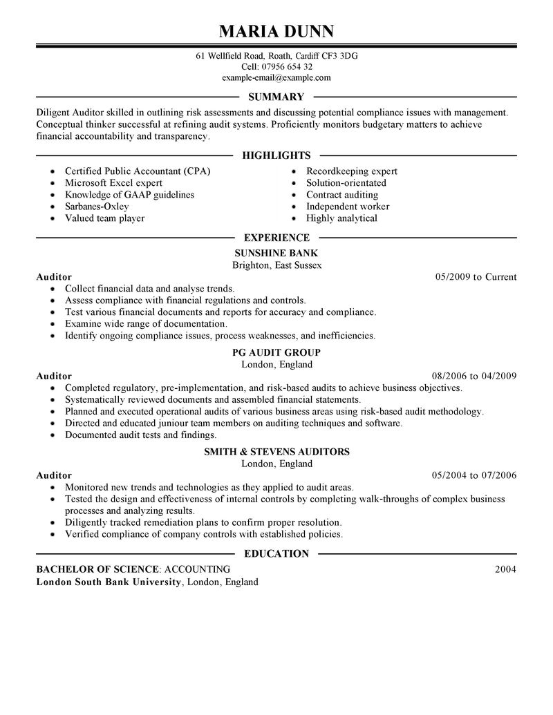 Resume cv it auditor