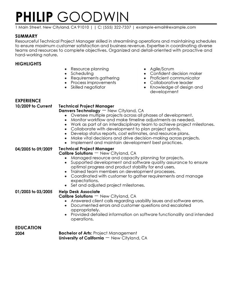 Sample resume technical project manager