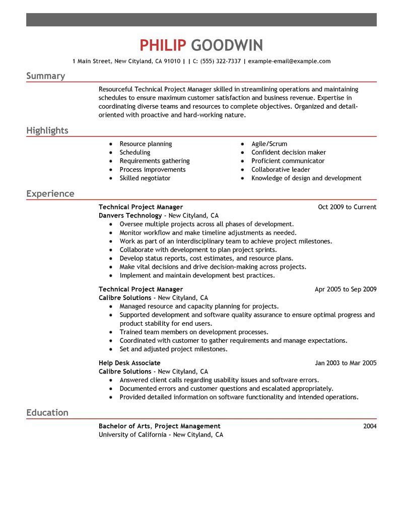 Professional resume for it project manager