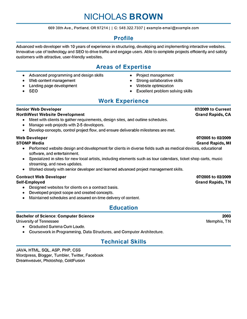 Best IT Web Developer Resume Example | LiveCareer