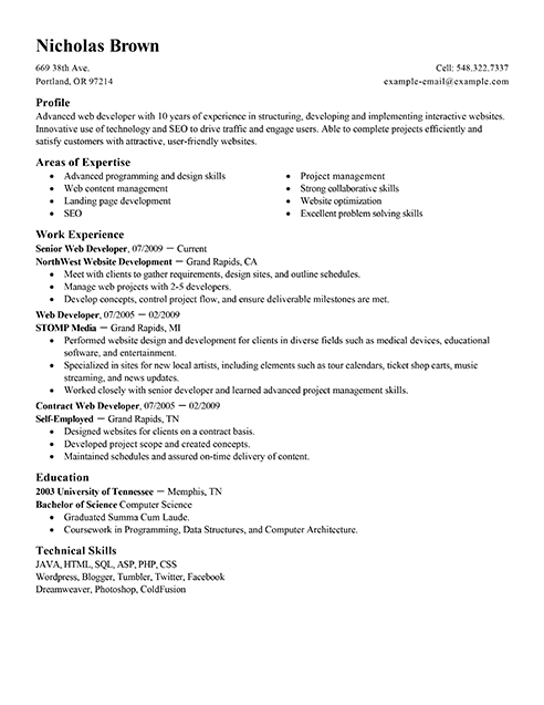 Best IT Web Developer Resume Example | LiveCareer