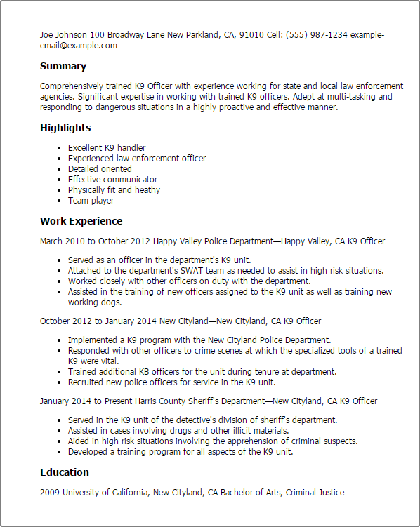 Government & Military Resume Templates To Impress Any