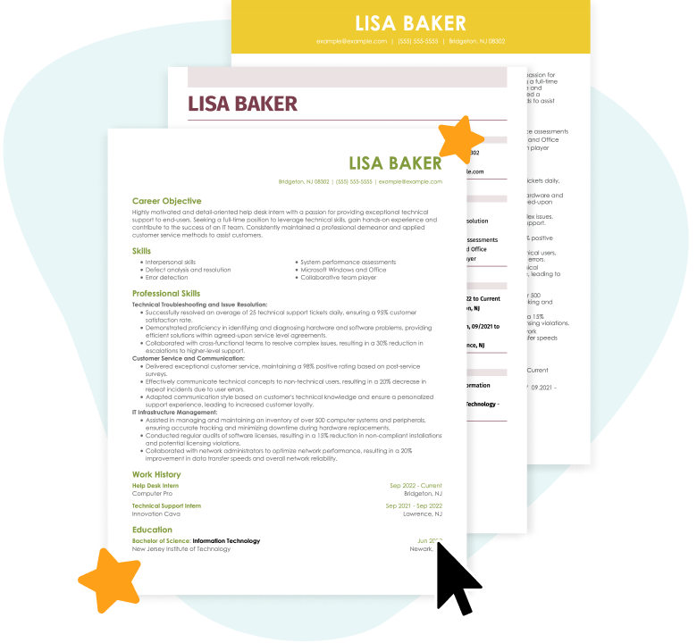 Professional Resume Maker