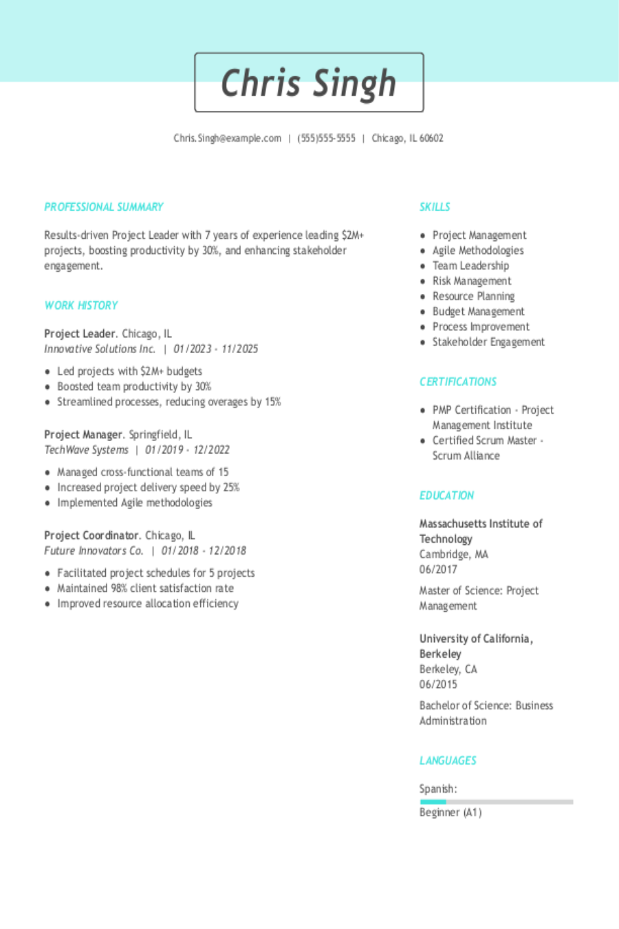 4 Project Leader Resume Examples, Templates, & Tips for 2025