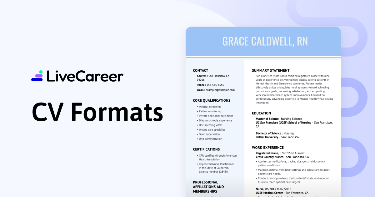 Curriculum Vitae (CV) Format: Professional Examples & Templates