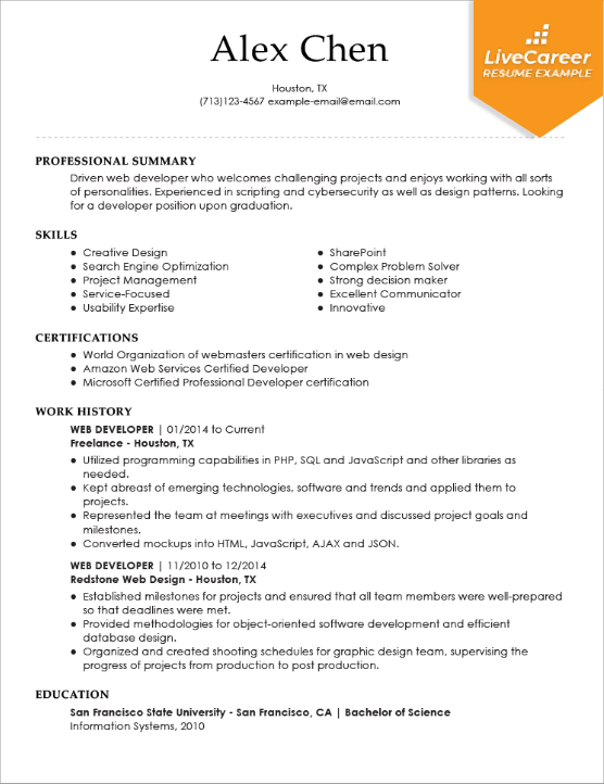 Sample Cv For Experienced Software Engineer