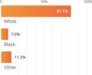 Professional Mechanics Resume Examples | LiveCareer