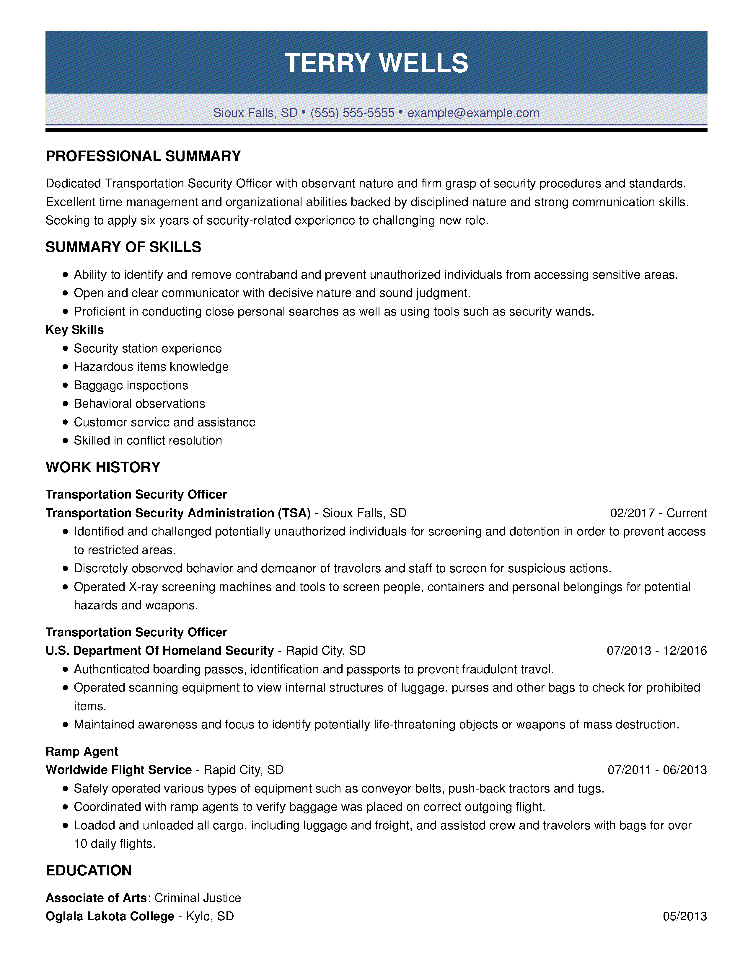 professional resume format for airline ground staff