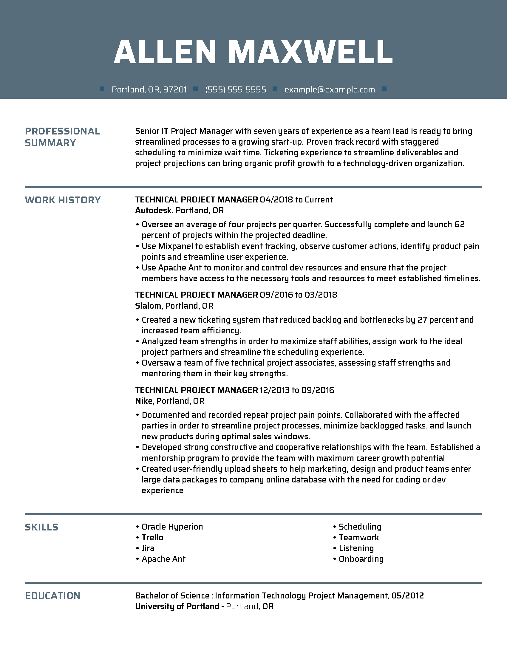 technical project manager resume sample download