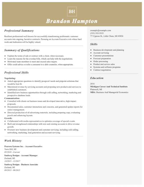 Free Cv Examples Job Description