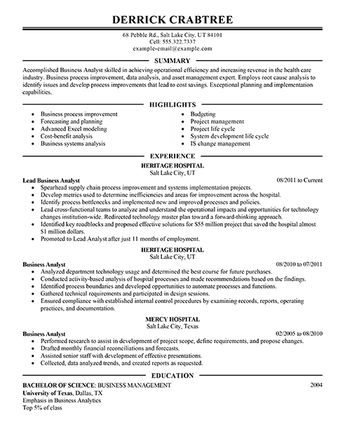 resume objective examples for business analyst