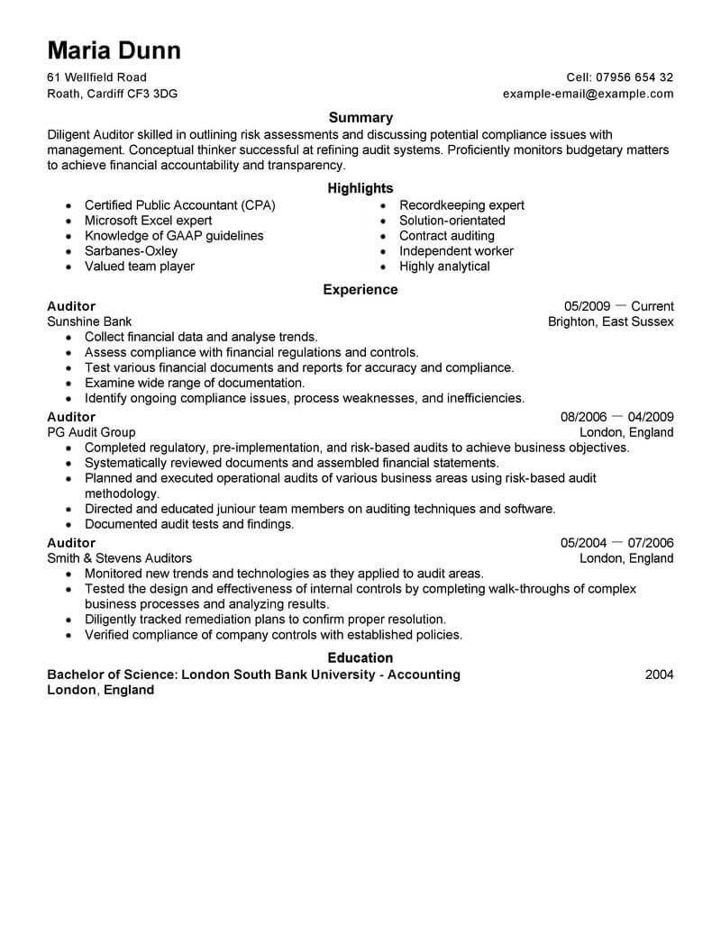 audit job description for resume