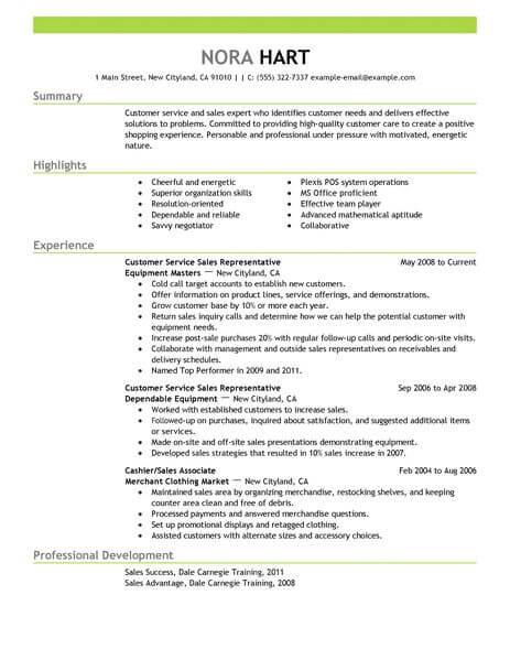 professional summary resume customer service